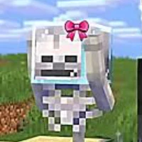 skelly