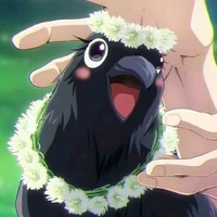 Ginko