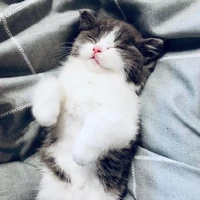 t/g chán ,lười ,bí idea là drop