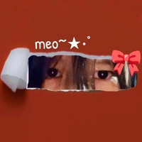 meo tg✨