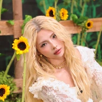 Nguyễn Hiền Mai - MaiQuinn