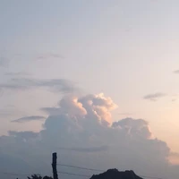 t/g