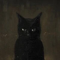 Black Cat ( kage )