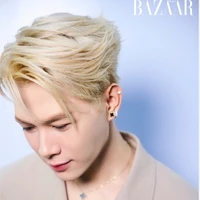 Bùi Anh Tú