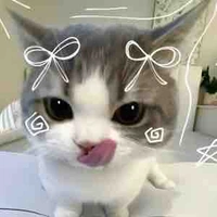 Nvp 2