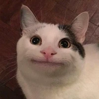 Cả Nhóm