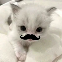 ？？？