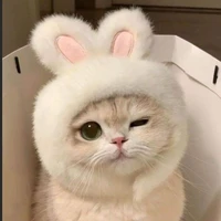 all ( nhóm anh ) trừ ai thì trừ