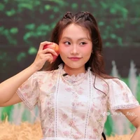 mỹ chi