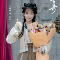 Nô Tỳ của Tần Hoản