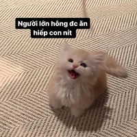 all mọi người(trừ một vài người)
