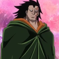 Monkey D dragon