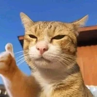 All