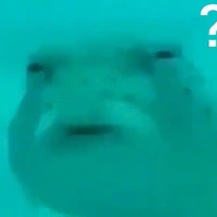 ？？？