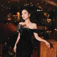 Lâm Vỹ Dạ