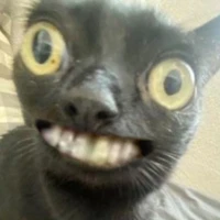 All