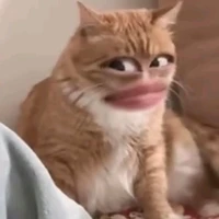 Mụi mụii