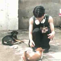 NGÔ SỞ UÝ/TRỊNH BẰNG/TỬ DU