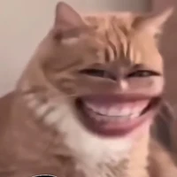 T/g