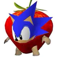 Ông Hedgehog (Ba Sonic)