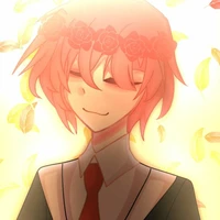 TT_Hiha