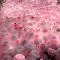 HihaAut+PhảnDiện