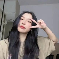 hệ thống( shin)