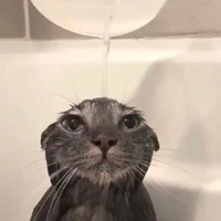 cung khòn( đọc lái lại đi)