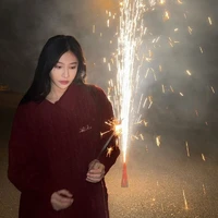 Viên Nhất Kỳ