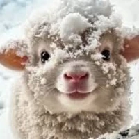 Hệ thống cừu hiphop