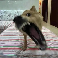 Alay đu trần nhà