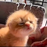 tác giả