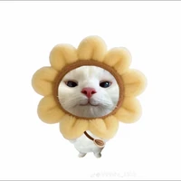 Tg ở đay nàyyy!!