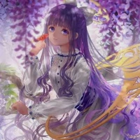 willow