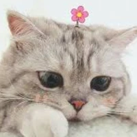 tác giả nèee