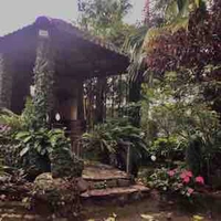 Đa nhân vật