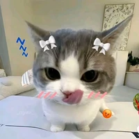 Tg zô tri đây