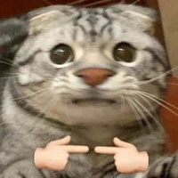tg nè