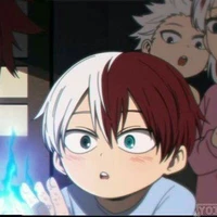 Todoroki Shouto