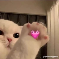 all