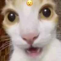 hệ thống mồn lèo:))