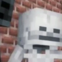 Skeleton