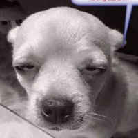 t/g [đứa nào lấy cục xương của anh]