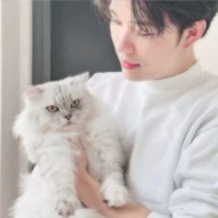 Trần Đăng Dương | Domic - ⁰⁰