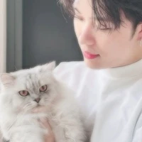 Trần Đăng Dương | Domic - ⁰⁰