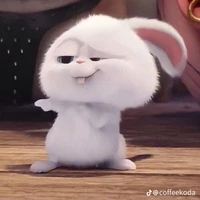 chủ tus
