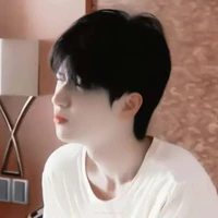 Nghiêm Hạo Tường (meomeo)