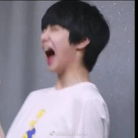 Lưu Diệu Văn (Peppa pig)