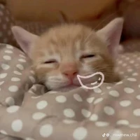 T/g