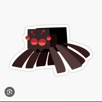 spider